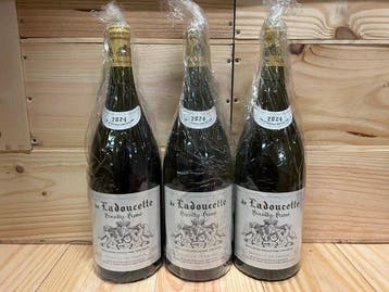 2024 Pouilly-Fumé de Ladoucette - Pouilly Fumé, Loire - 3