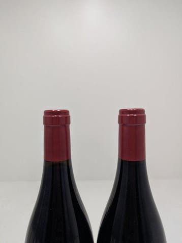 2023 Bodegas Artadi, Viña el Pison - Rioja - 2 Flessen (0.75