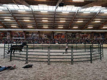 Schuilstallen, paddock, roundpen, longeercirkel, hooiruif, Dieren en Toebehoren, Weidegang