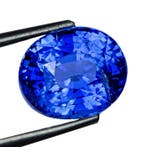 1 pcs Blauw Saffier - 5.26 ct - Lotus Gemology -, Nieuw