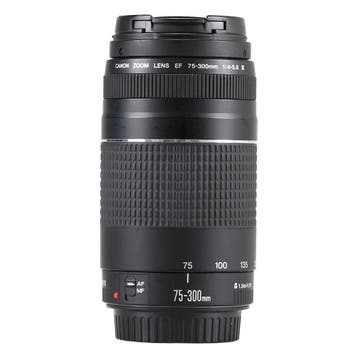 Canon EF 75-300mm f/4-5.6 III met garantie, Audio, Tv en Foto, Ophalen of Verzenden, Gebruikt