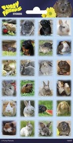 Konijnen En CaviaS Stickers Klein, Verzenden, Nieuw