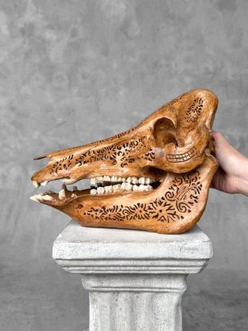 PRIX SANS RÉSERVE - Crâne de sanglier sculpté à la main