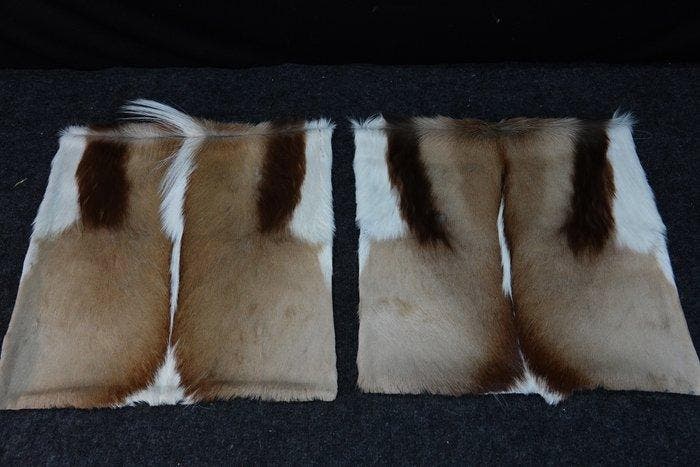 Housses de coussin Springbok - Support de corps entier pour, Antiquités & Art, Curiosités & Brocante
