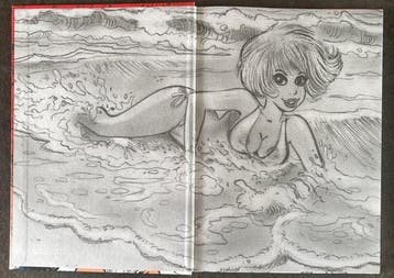 Natacha - 50 Ans de charme + 2x ex-libris - C - 1 Album -