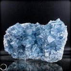 Druse naturelle de célestite Trésor céleste de la terre-