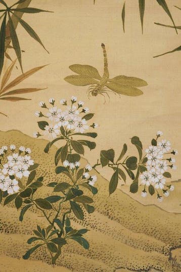 Een vogel en een libel met bloemen - Zijde - Sessho - Japan, Antiek en Kunst
