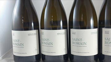 2022 Arnaud Boué - Saint-Romain - 6 Bouteilles (0,75 L)