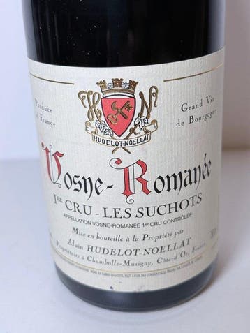 2020 Alain Hudelot-Noellat Les Suchots - Vosne-Romanée 1er, Collections