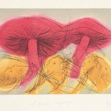 Jean Messagier (1920-1999) - La grande Mycologie