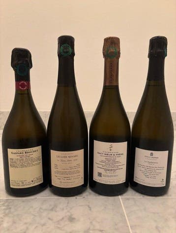 Brochet ‘Le Renard’, 2020 Minard ‘La Trame Noire’, Sacy