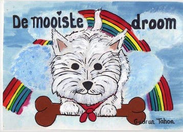 De mooiste droom 9789493293397 Gudrun Tahon, Verzenden, Gudrun Tahon