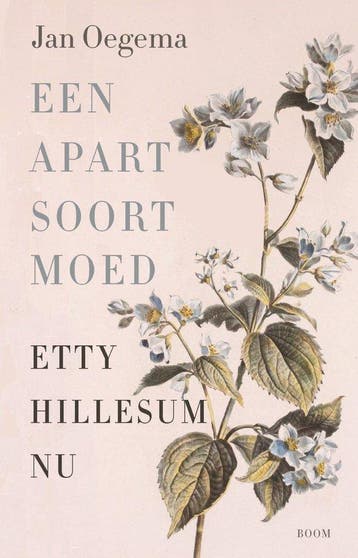 Een apart soort moed 9789024475902 Jan Oegema, Verzenden, Jan Oegema