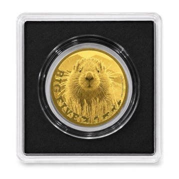 Tsjaad. 5000 Francs 1/200 oz 999 Fine Gold 5000 CFA Francs