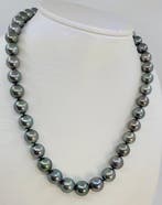 Halsketting - 14 karaat Witgoud, PSL gecertificeerde, Nieuw