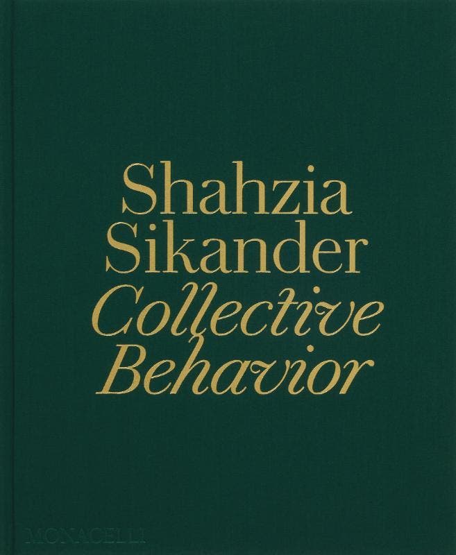 Shahzia Sikander | Nieuw, Livres, Livres Autre, Envoi