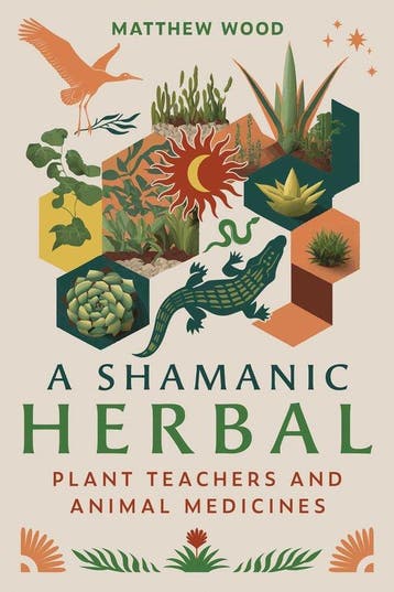 A Shamanic Herbal 9798888500200 Matthew Wood, Verzenden, Matthew Wood
