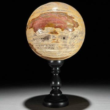 Prachtig paar versteend hout - Gefossiliseerd hout - Spheres