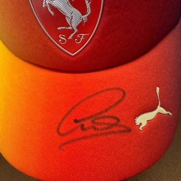 Ferrari - GP SILVERSTONE 2025 - Lewis Hamilton - 2025 - Pet