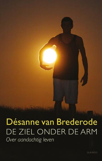 De ziel onder de arm 9789021441870 Désanne van Brederode, Verzenden, Gelezen, Désanne van Brederode
