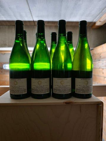 2023 Morgen Long Willamette Valley Chardonnay - Oregon - 8, Collections