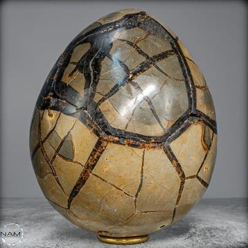 Zeer decoratieve septarian Ei, met calcietkristallen-
