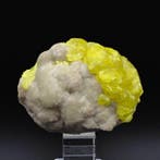 Geel zwavel, kristallen op aragoniet UV-gevoelig, Sicilië, Verzamelen