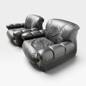 Zitgroep (2) - Leder - fauteuil