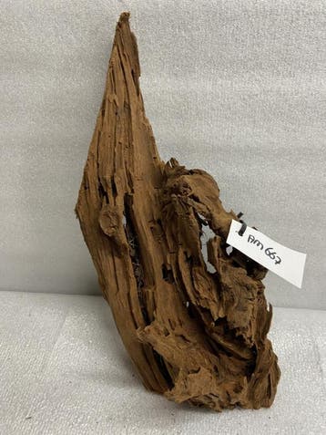 Am 667 Fine Sinkingwood 39x18x12 cm aquarium decoratie hout, Verzenden, Nieuw, Plant(en), Steen of Hout