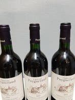 2001 Château Puygueraud - Bordeaux - 3 Bouteilles (0,75 L)