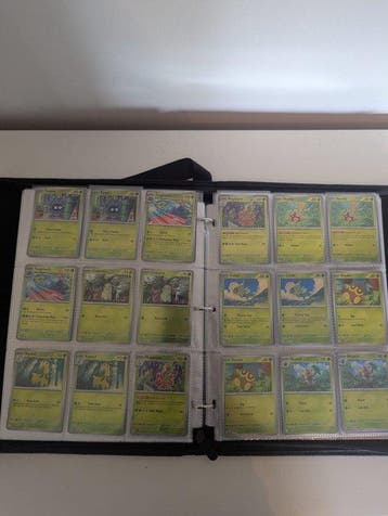 Pokémon Compleet album - Mega Evolution, Nieuw