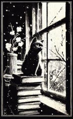 Æ (XX-XXI) - (Set of 3) Jiji Collection (2025) - Mixed, Nieuw