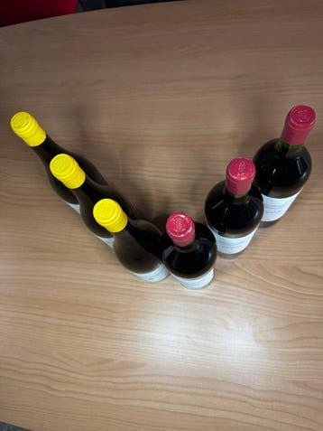 2024 x3 Teroldego & 2025 x3 Fontanasanta Manzoni Bianco,