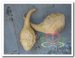 Gedroogde kalebas Spiky Spicky groot, Huis en Inrichting, Woonaccessoires | Kunstplanten en Kunstbloemen, Nieuw