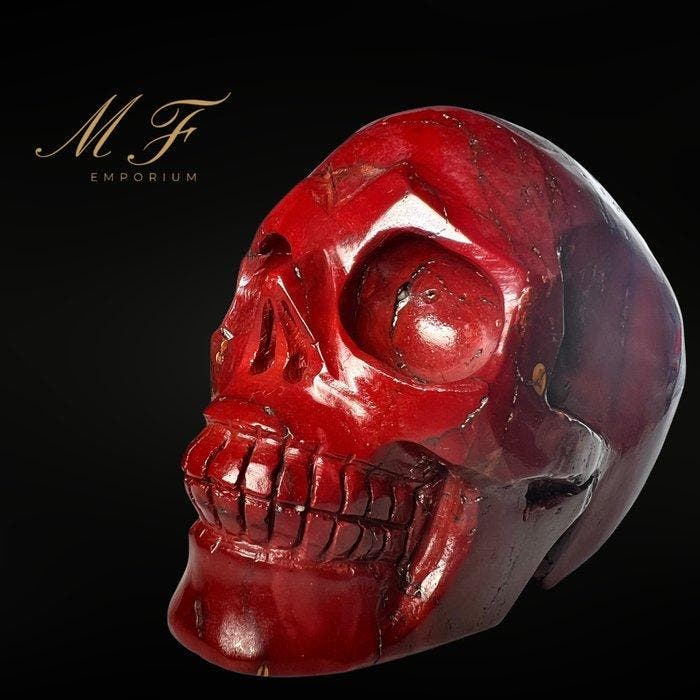 Prachtige schedel XXL en Mokaite. Gravure - Hoogte: 100 mm -, Collections, Minéraux & Fossiles