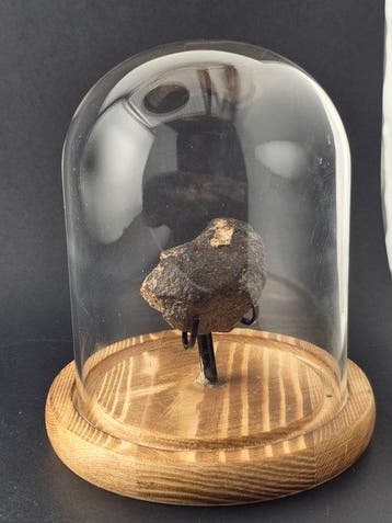 meteoriet Chondrite meteoriet - Hoogte: 4.5 cm- 80 g, Verzamelen, Mineralen en Fossielen