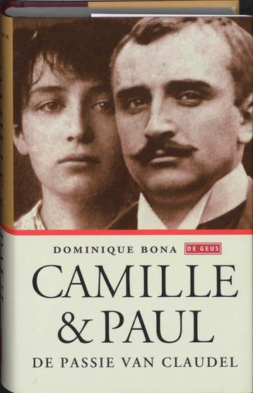 Camille en Paul 9789044510737 D. Bona, Verzenden, Gelezen, D. Bona