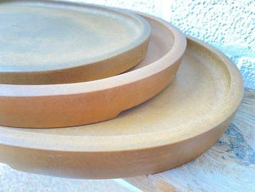 Bonsai en Suiseki schalen 3 stuks - Hoogte (boom): 0 cm -