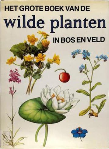 GROOT BOEK VAN WILDE PLANTEN IN BOS EN VELD 9789025104603, Verzenden, Tomanova