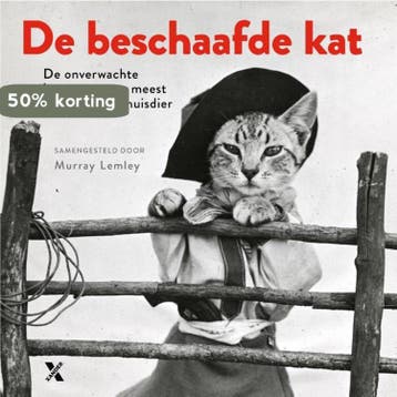 De beschaafde kat 9789401606400 Murray Lemley, Verzenden, Gelezen, Murray Lemley