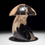 Gefossiliseerd hout - Wonderful Petrified Wood Mushroom