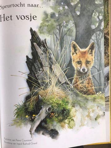 Speurtocht naar het Vosje (prentenboek) 9789041222794, Verzenden, Gelezen, Pierre coudonne
