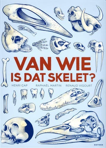 Van wie is dat skelet? 9789025767433 Raphaël Martin, Boeken, Verzenden, Gelezen, Raphaël Martin