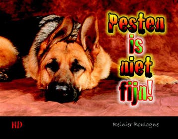 Pesten is niet fijn! 9789081847803 Reinier Boulogne, Verzenden, Reinier Boulogne