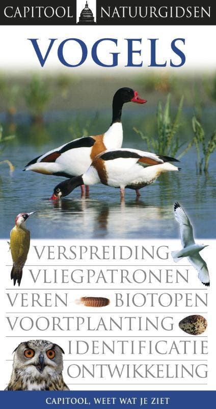 Vogels / Capitool veldgidsen 9789041018960 Jonathan Elphick, Livres, Loisirs & Temps libre, Envoi
