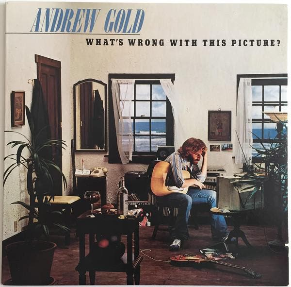 Andrew Gold - Whats Wrong With This Picture?, Cd's en Dvd's, Vinyl | Rock, Gebruikt, Verzenden