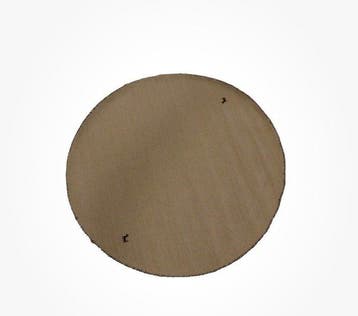 Gabbeh - Tapijt - 200 cm - 200 cm, Nieuw