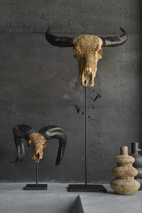 GEEN RESERVEPRIJS - Grijze gegraveerde ramsschedel met, Antiek en Kunst, Kunst | Designobjecten