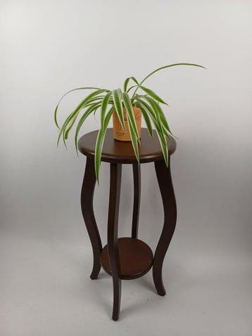 Plantentafel - Eik - Bijzettafel - Vintage