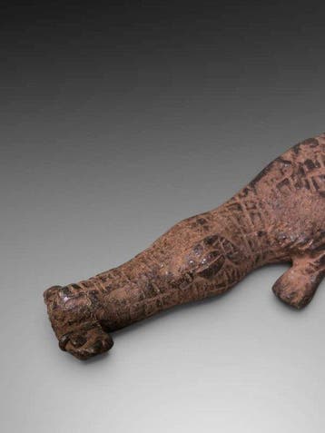 Prachtige krokodil die zijn prooi draagt Dogon - dier in